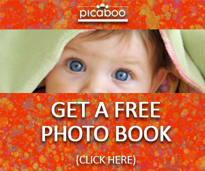 Picaboo Promotional Banner