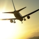 Flyin’ High!