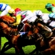 Foxfield and the American Student
