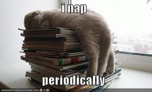funny-pictures-cat-napping-magazines